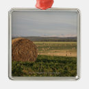 Search for bale Agriculture