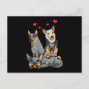 Search for heelers postcards Australian cattle dog
