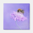 Recherche de collecteur magnets Nature