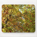 Search for colour change mousepads Fall