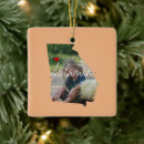 Search for state of georgia ornaments Map