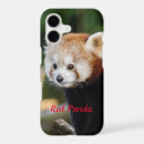 Search for china panda electronics Wildlife