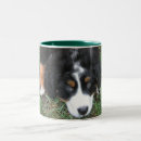 Search for bernese mountain dog mugs Photography