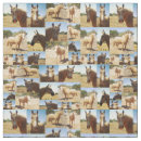 Search for pony fabric Mare