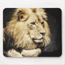 Search for african lion mousepads Lions