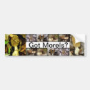 Recherche de morelle Champignon