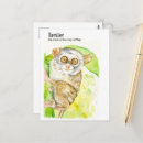 Recherche de tarsier posters Illustration