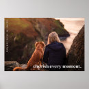 Search for pet supplies Simple