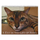 Search for month calendars Cat