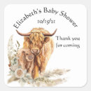 Search for calf stickers Thank you