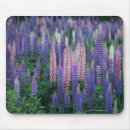 Search for lupin mousepads Purple