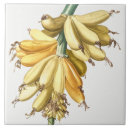 Recherche de banane carreaux Floral