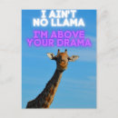 Search for drama llama postcards Funny