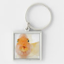 Search for freshwater keychains Nature