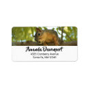 Recherche de squirrel Cute