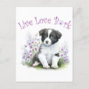 Search for border collie postcards Friend