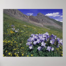 Search for blue mountain posters Colourful