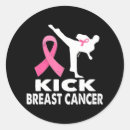 Search for karate stickers Pink