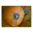 Search for the pumpkin patch photography Orange