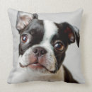 Search for boston terrier pillows Small