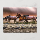 Recherche de peintures de cheval cartes postales Chevaux