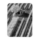Search for black adam magnets Bw