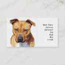 Recherche de pitbull cartes visite Puits