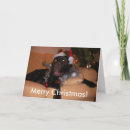 Search for chocolate labrador christmas cards Xmas