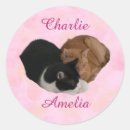 Search for small cat stickers Sweet