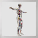 Search for human representation art Cutout