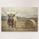 Recherche de vache vaches puzzles Vache à haute altitude