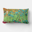 Search for iris pillows Colourful