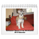 Search for schnauzer calendars Miniature