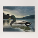 Recherche de duck puzzles Mallard