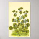 Search for creeping Green