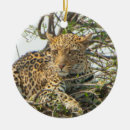 Search for fierce ornaments Leopard