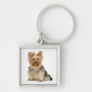 Search for yorkies square keychains Puppies