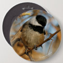 Search for chickadee buttons Maine state bird