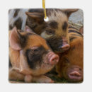 Search for piglet ornaments Babies