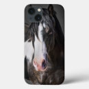 Search for horse ipad cases Western