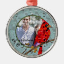 Recherche de oiseau ornements Cardinal rouge