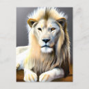 Recherche de lion majestueux cartes postales Animaux