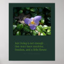 Recherche de crocus posters Jardin