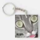 Search for sticker keychains Funny