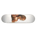Recherche de ken skateboards Akuma