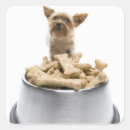 Search for yorkshire dog stickers Vertical