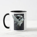 Search for magical creatures mugs Hippogriff