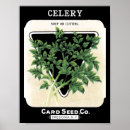 Search for celery posters vintage