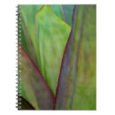 Search for habitat notebooks Flora