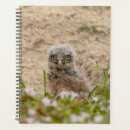 Search for owl planners Animal